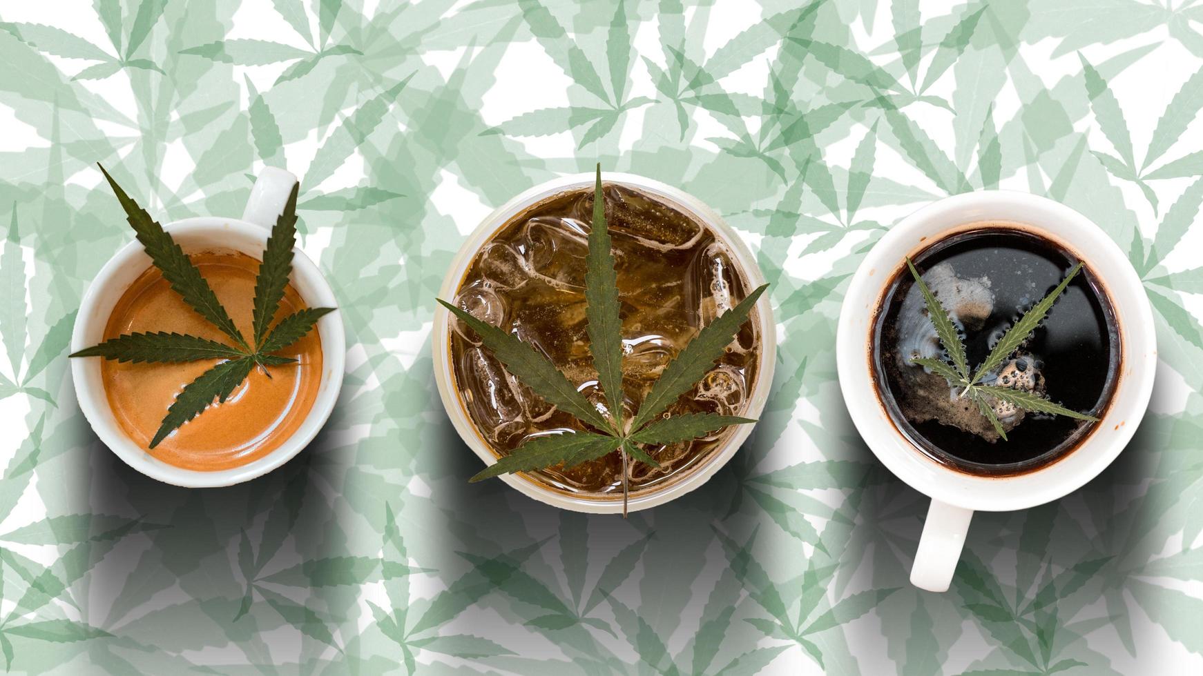 Top view of cannabis leaves in three cups of coffee photo