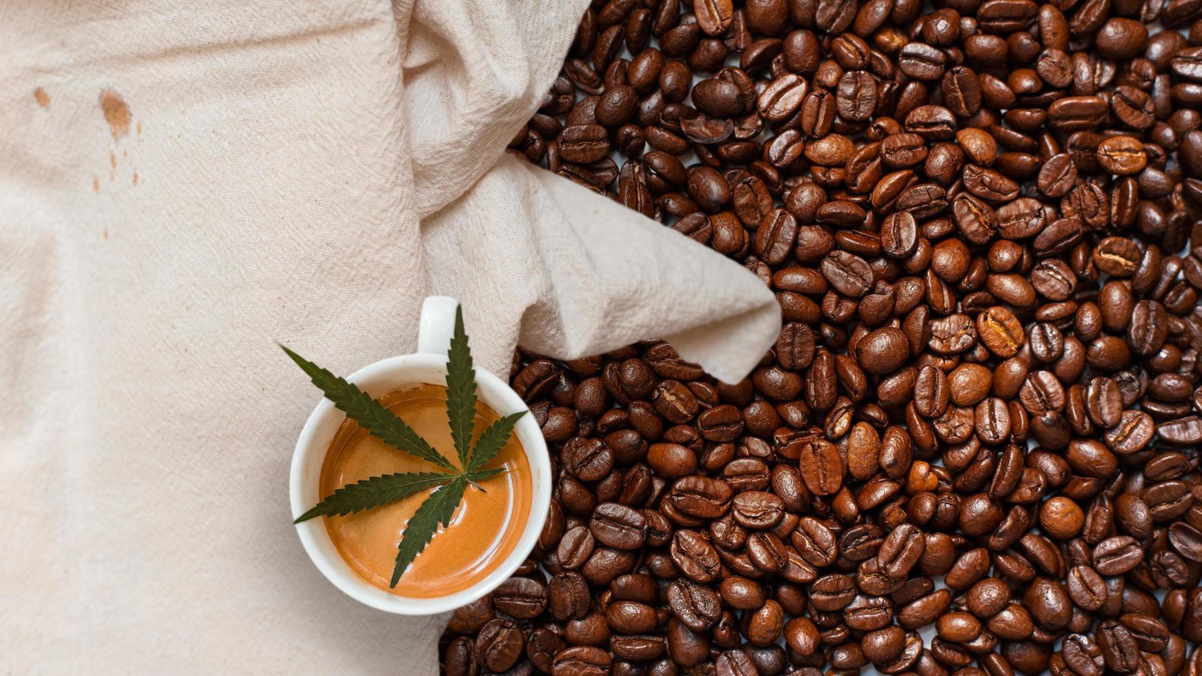 Cannabis leaf in a cup of coffee on a white tablecloth in a pile of coffee beans photo