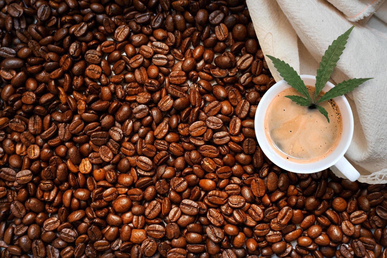 Cannabis leaf in a cup of coffee on a white tablecloth in a pile of coffee beans photo