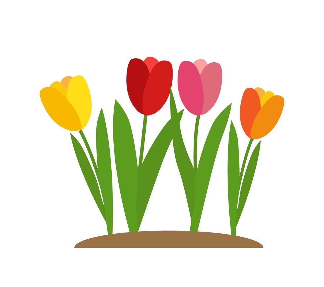 Spring Tulip Flowers Background Vector Illustration