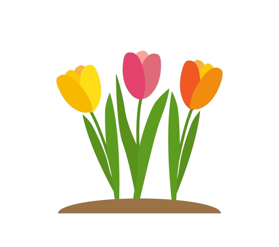 Spring Tulip Flowers Background Vector Illustration