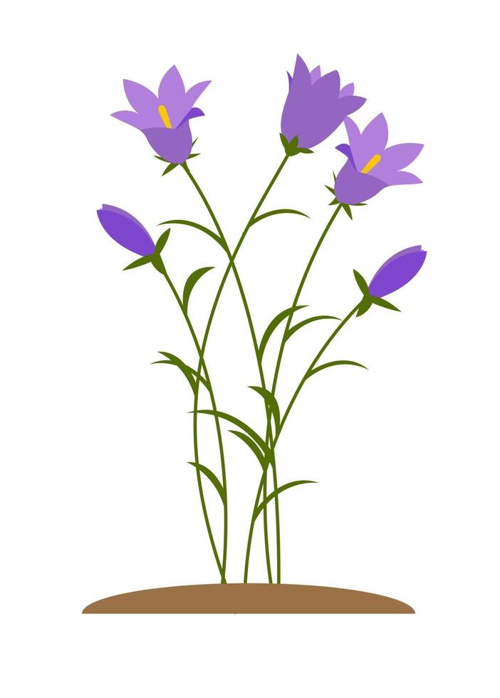 Spring Bluebell Flowers Background Vector Illustration