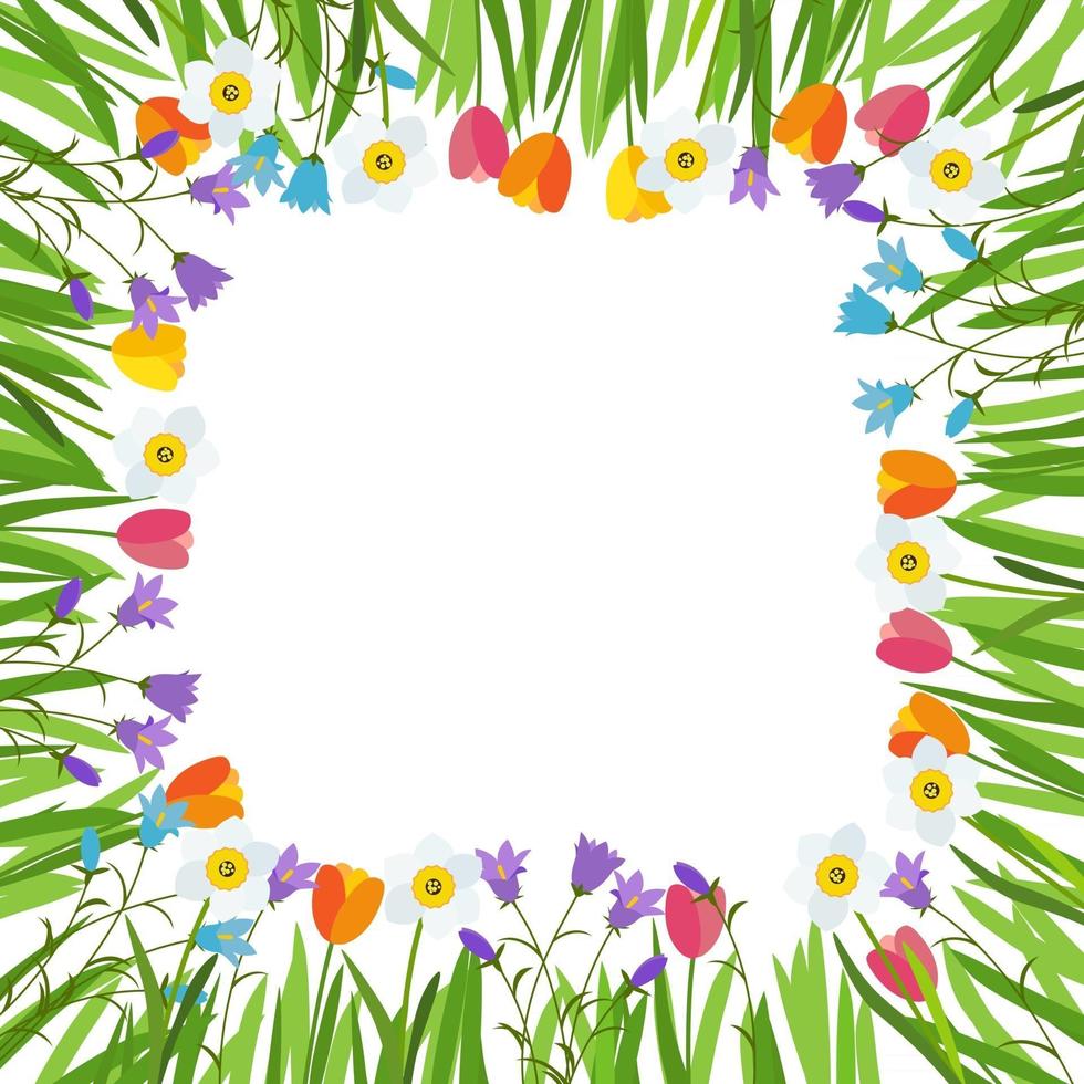 primavera, tulipán, campanilla y narciso, fondo de flores vector