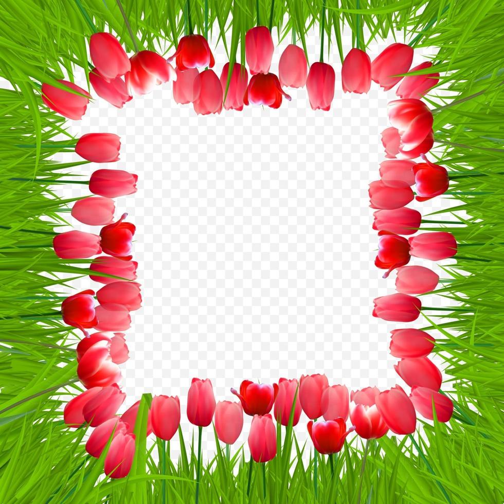 fondo floral con tulipanes vector