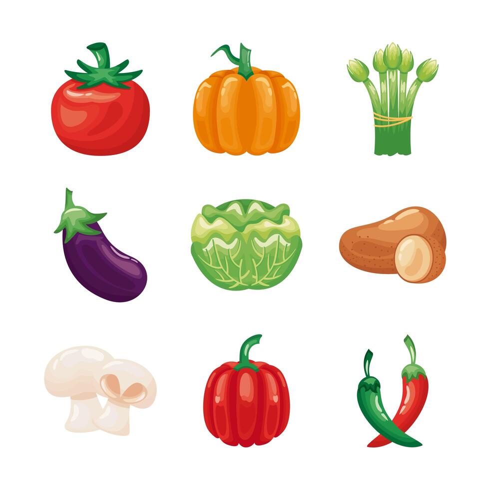 paquete de verduras establecer iconos vector