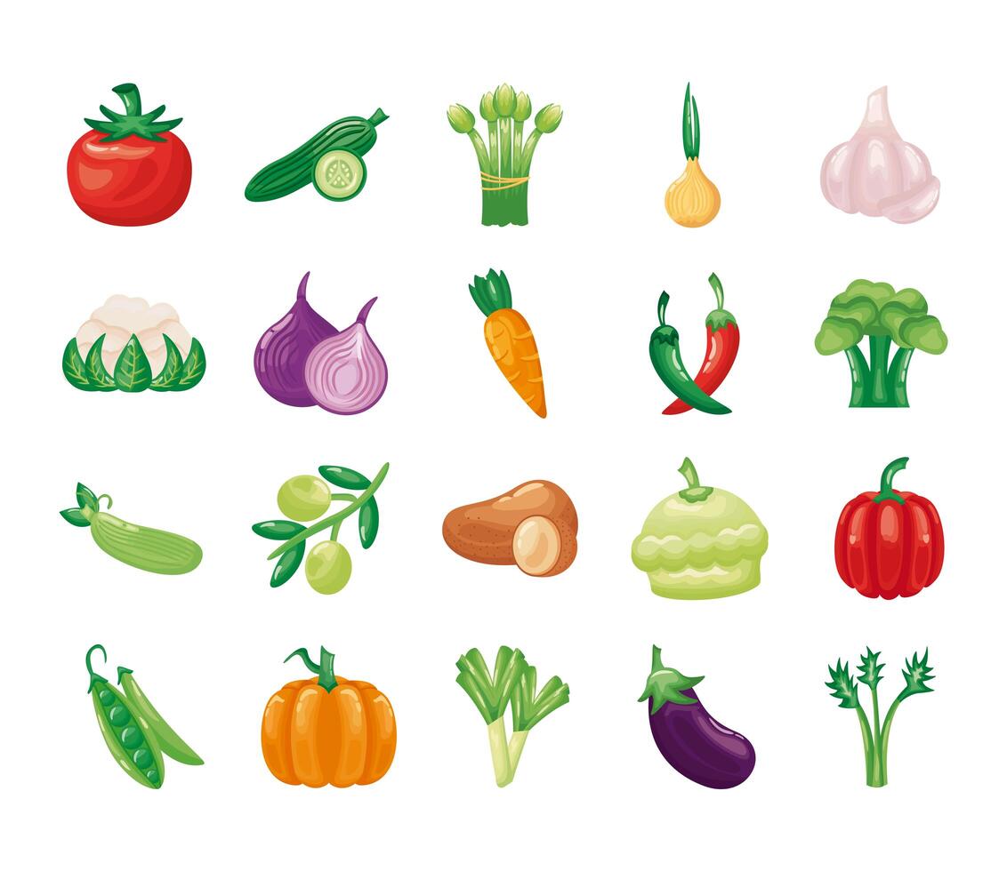 bundle of vegetables set icons vector