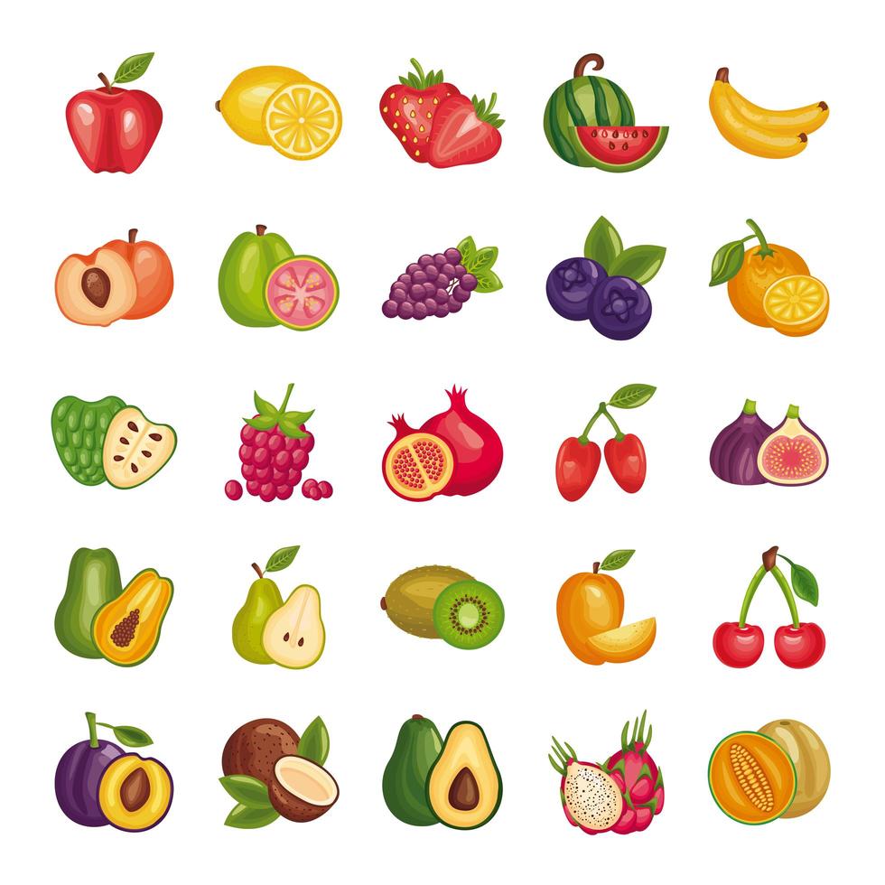 bundle of fresh fruits set icons vector