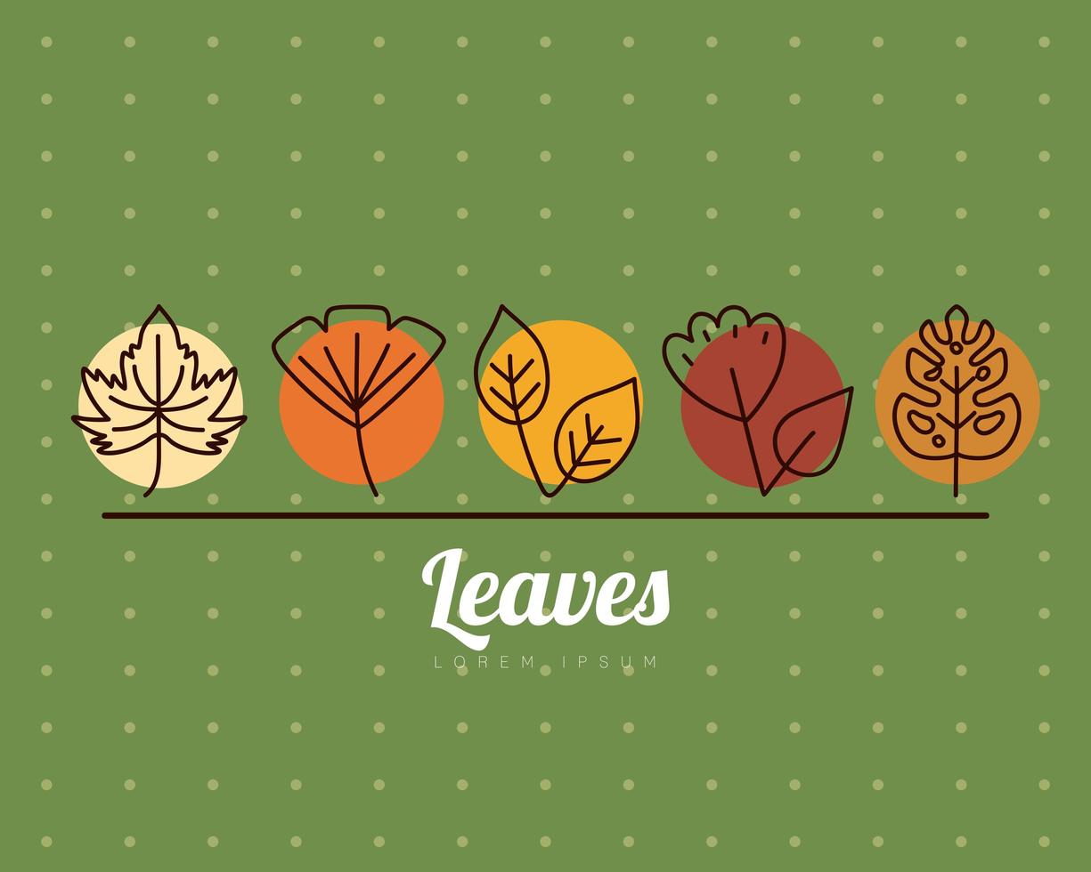 leaves line style icons on pointed background vector design