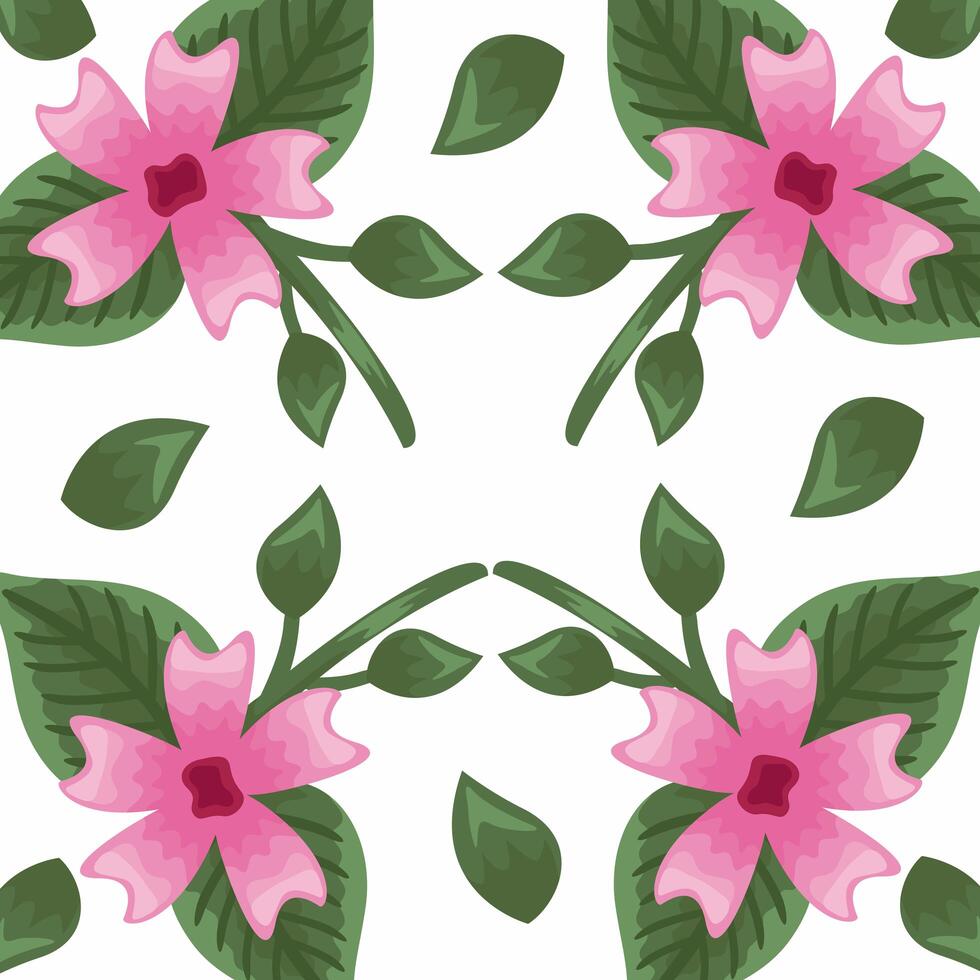 Flowers color pink pattern detailed style vector