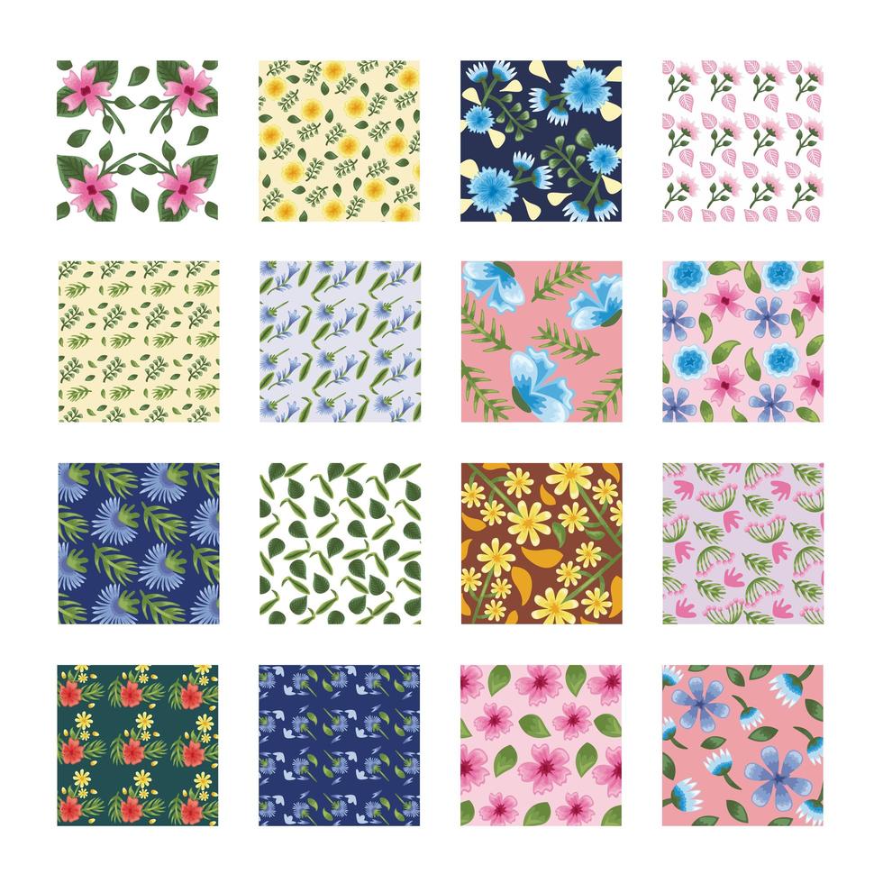 bundle of sixteen Flowers patterns backgrounds vector