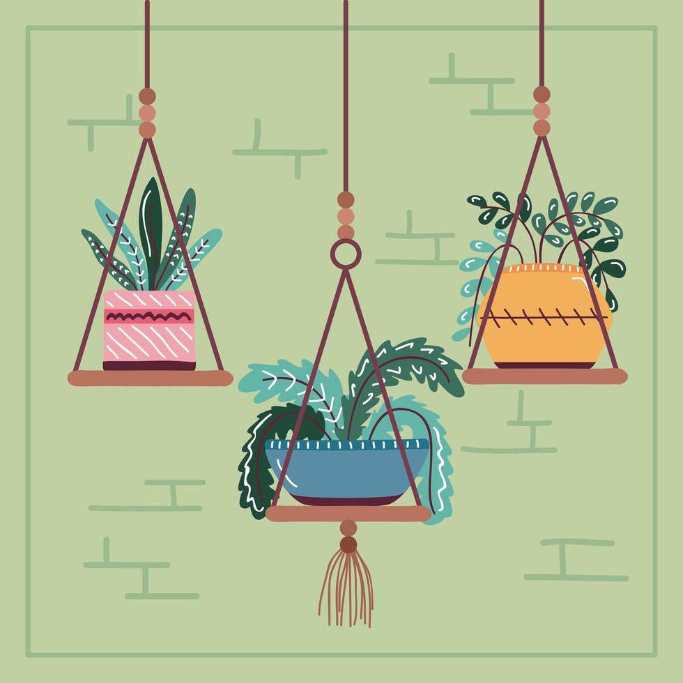 house plants on pot in hanging decoration scandinavian style vector