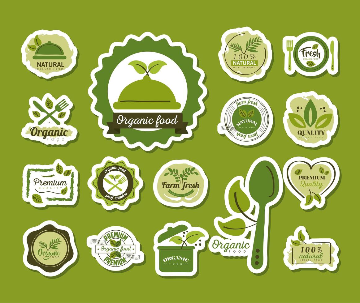 Conjunto de etiquetas e insignias de alimentos orgánicos sobre fondo verde vector