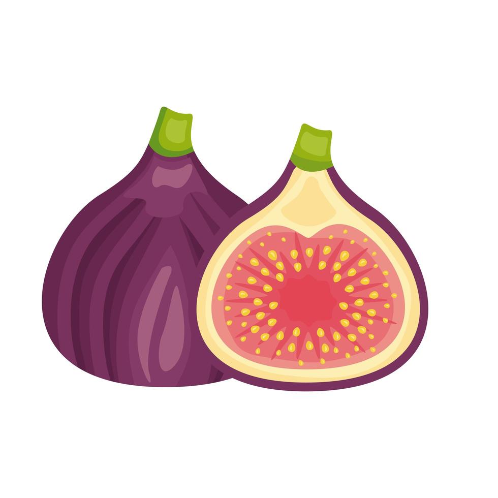 fig fresh delicious fruit detailed style icon vector