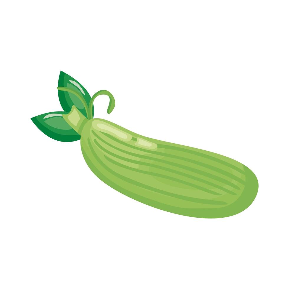 courgette healthy vegetable detailed style icon vector