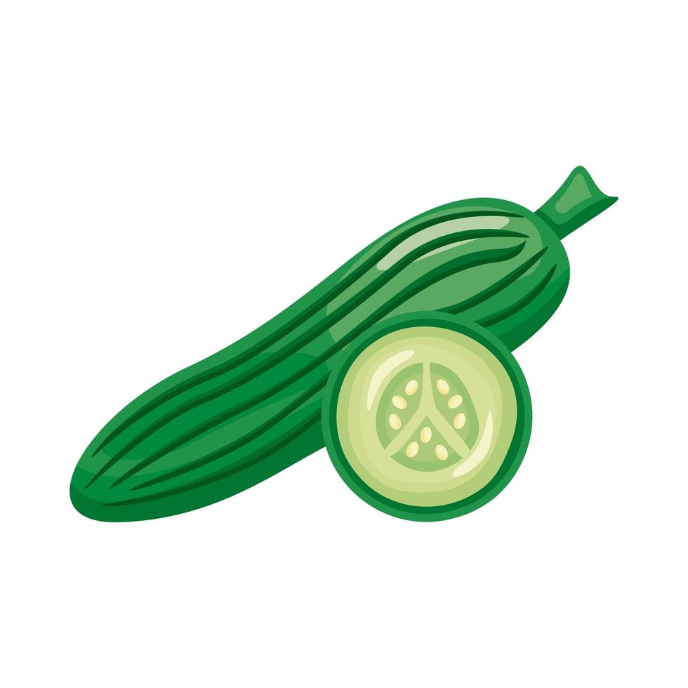 pepino vegetal saludable icono de estilo detallado vector
