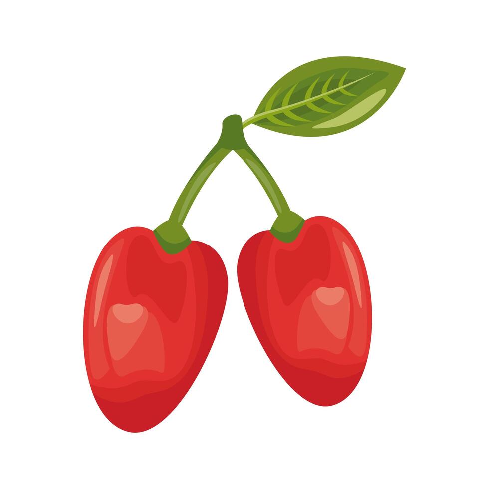 fresh cherries delicious fruit detailed style icon vector