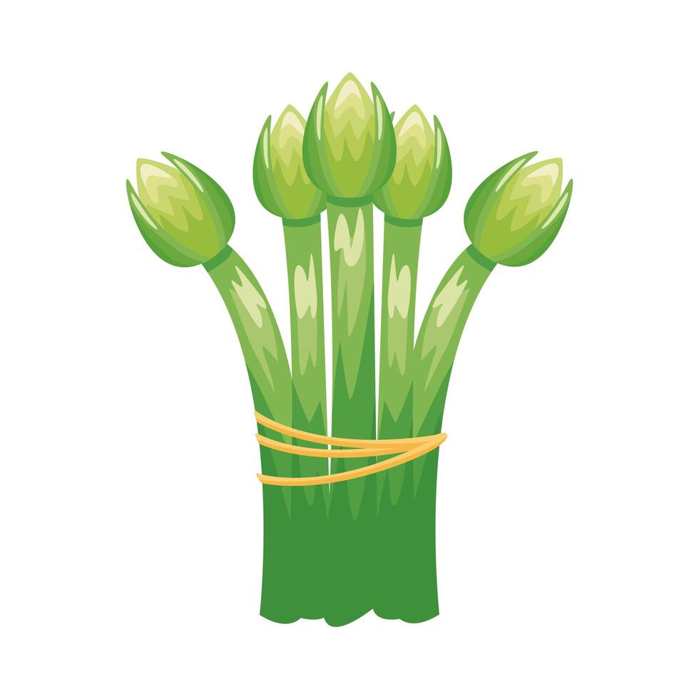 espárragos vegetales saludables icono de estilo detallado vector