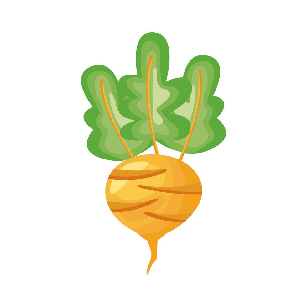 remolacha vegetal saludable icono de estilo detallado vector