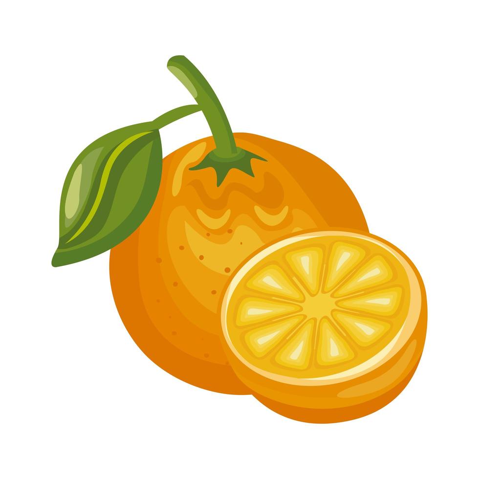 orange fresh delicious fruit detailed style icon vector