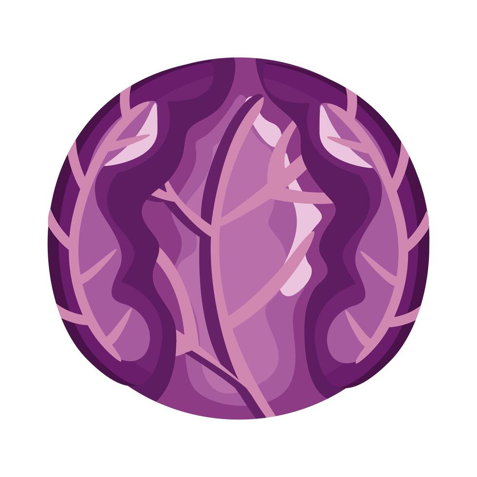 red cabbage healthy vegetable detailed style icon vector