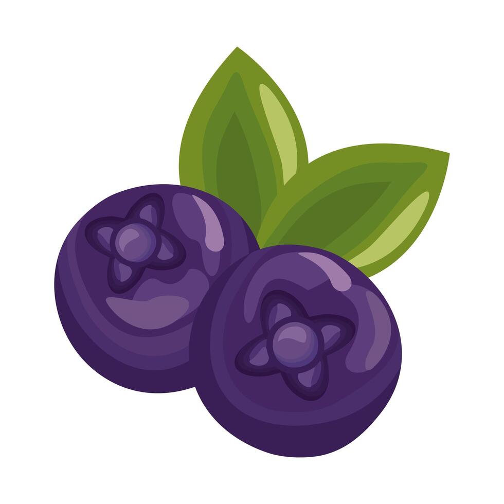 blueberry fresh delicious fruit detailed style icon vector