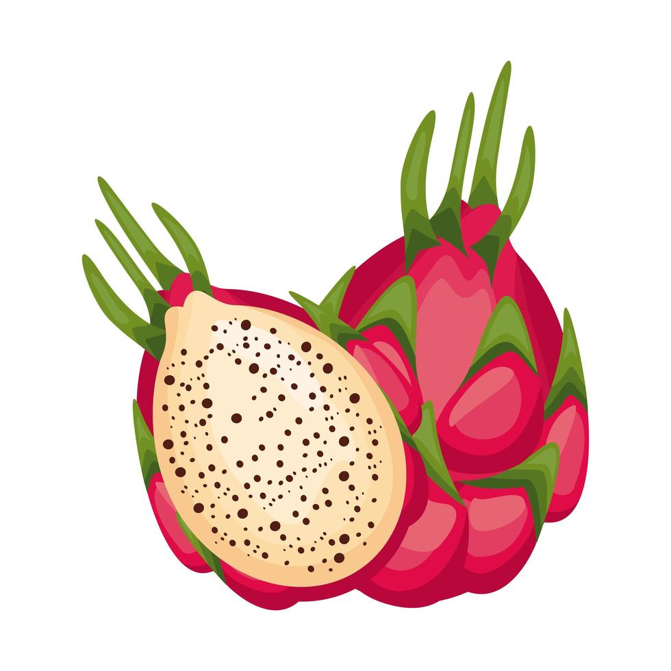 fresh delicious dragon fruit detailed style icon vector