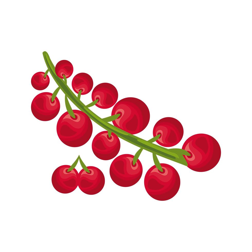 rama con cerezas fruta fresca deliciosa icono de estilo detallado vector