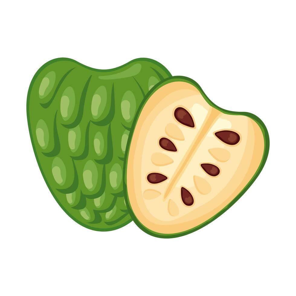 soursop fresh delicious fruit detailed style icon vector