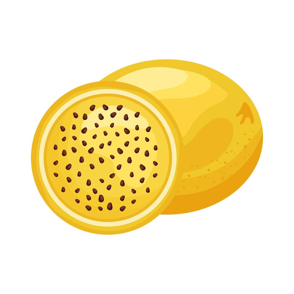 fruta de la pasión fresca deliciosa fruta icono de estilo detallado vector