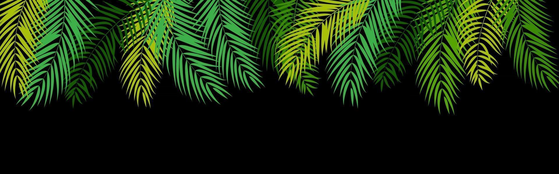 hermoso fondo de silueta de hoja de palmera vector