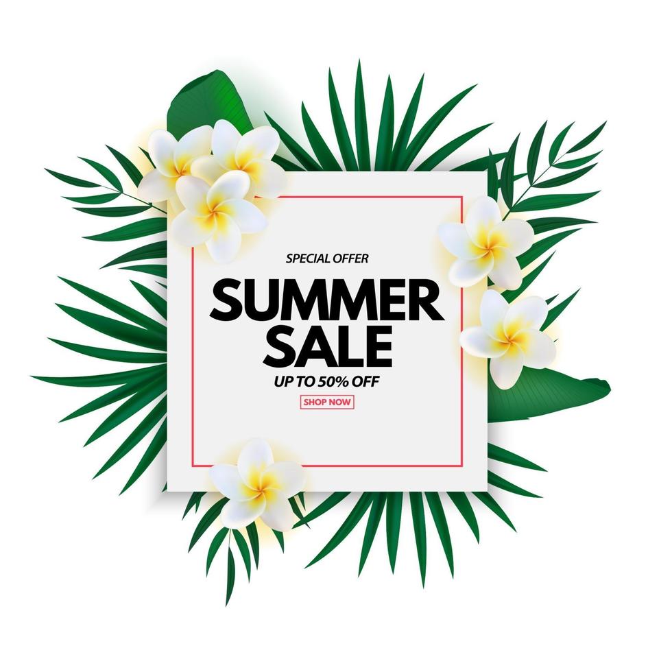Summer sale poster Natural Background with Tropical Palm Leaves and exotic flower vector