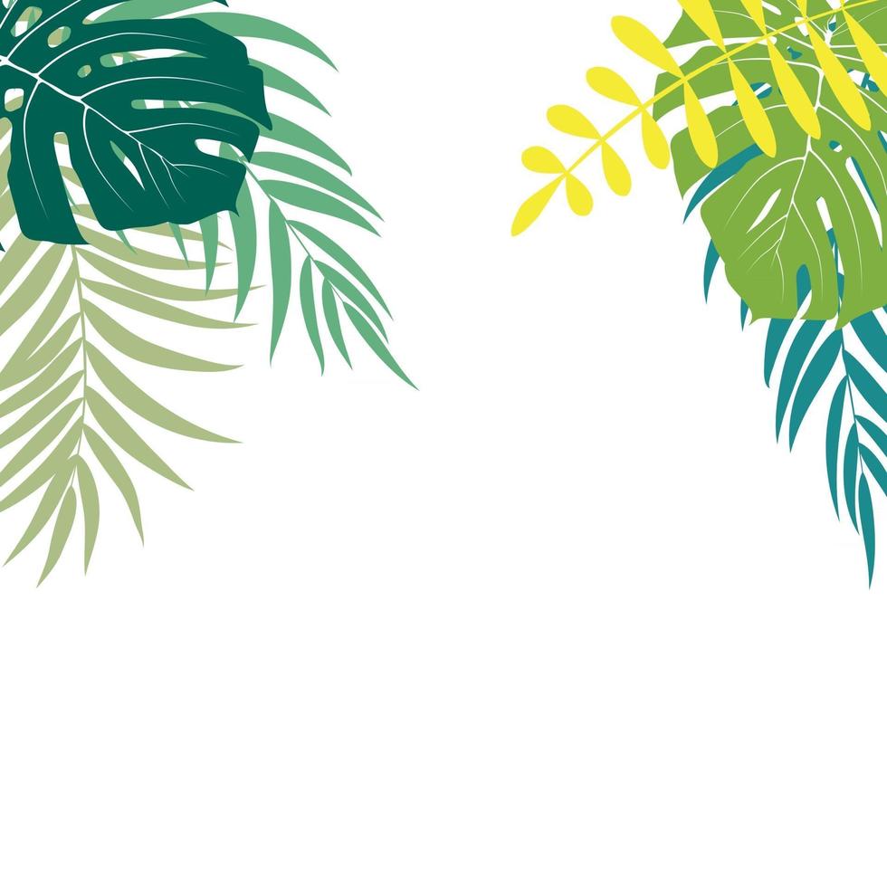 Beautiful Palm Tree Leaves Silhouette Background Vector Illustration