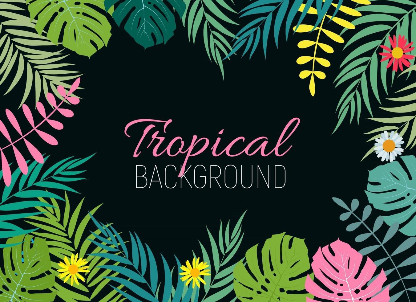 Beautiful Palm Tree Leaves Silhouette Background Vector Illustration