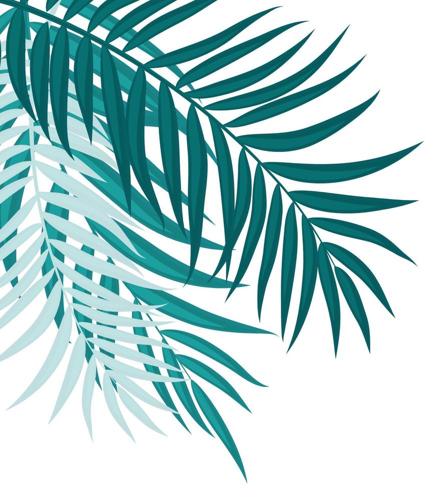 Ilustración de vector de fondo de silueta de hojas de palmera hermosa
