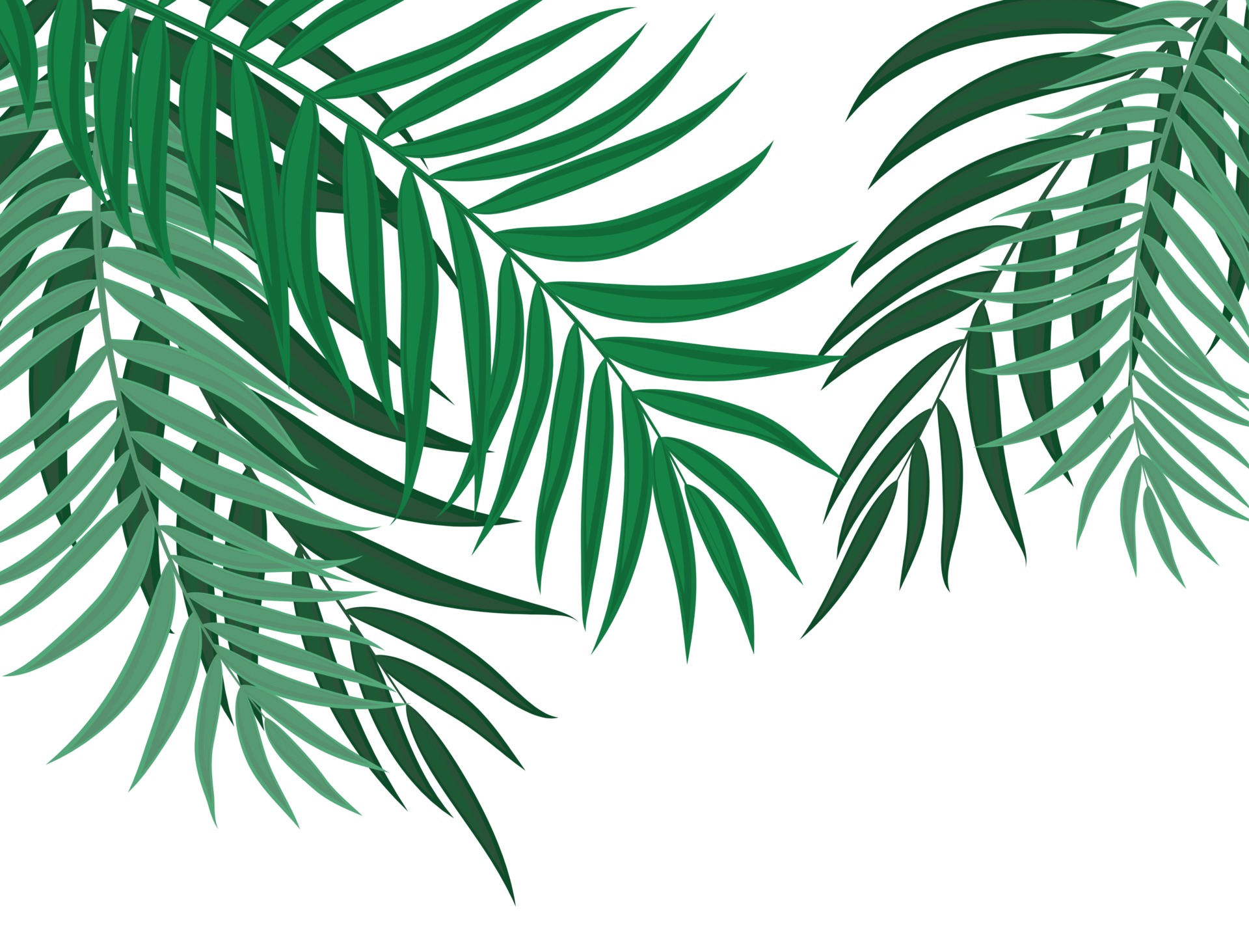 Palm Leaves Vector Art, Icons, and Graphics for Free Download