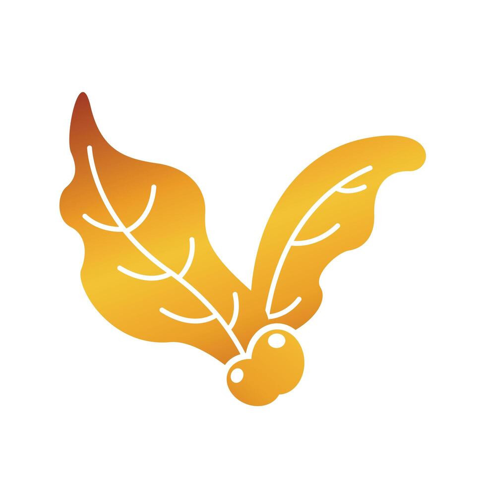 coffee seeds and leafs plant vector