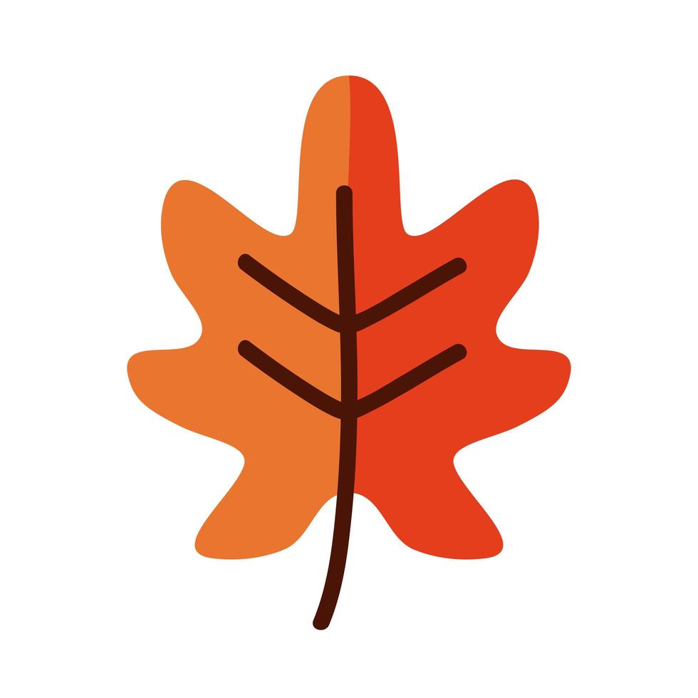 autumn oak leaf line and fill style icon vector design