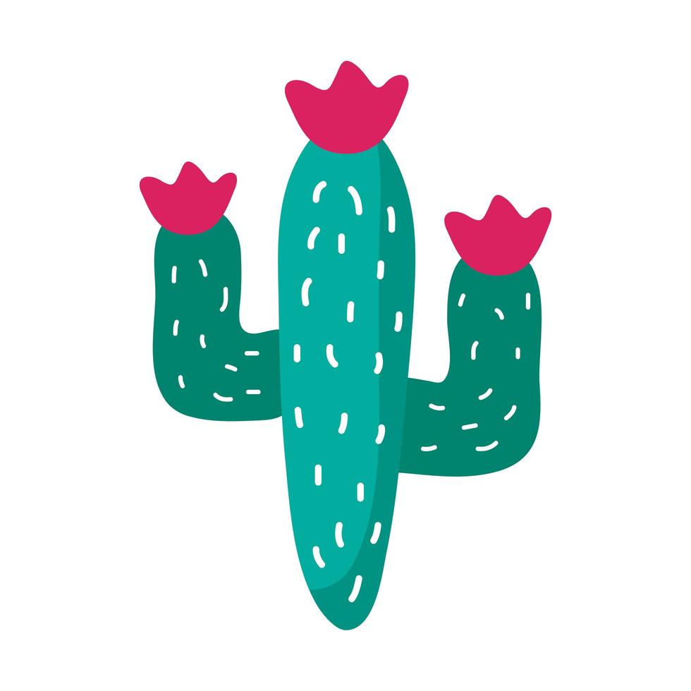 cactus mexican plant flat style icon vector