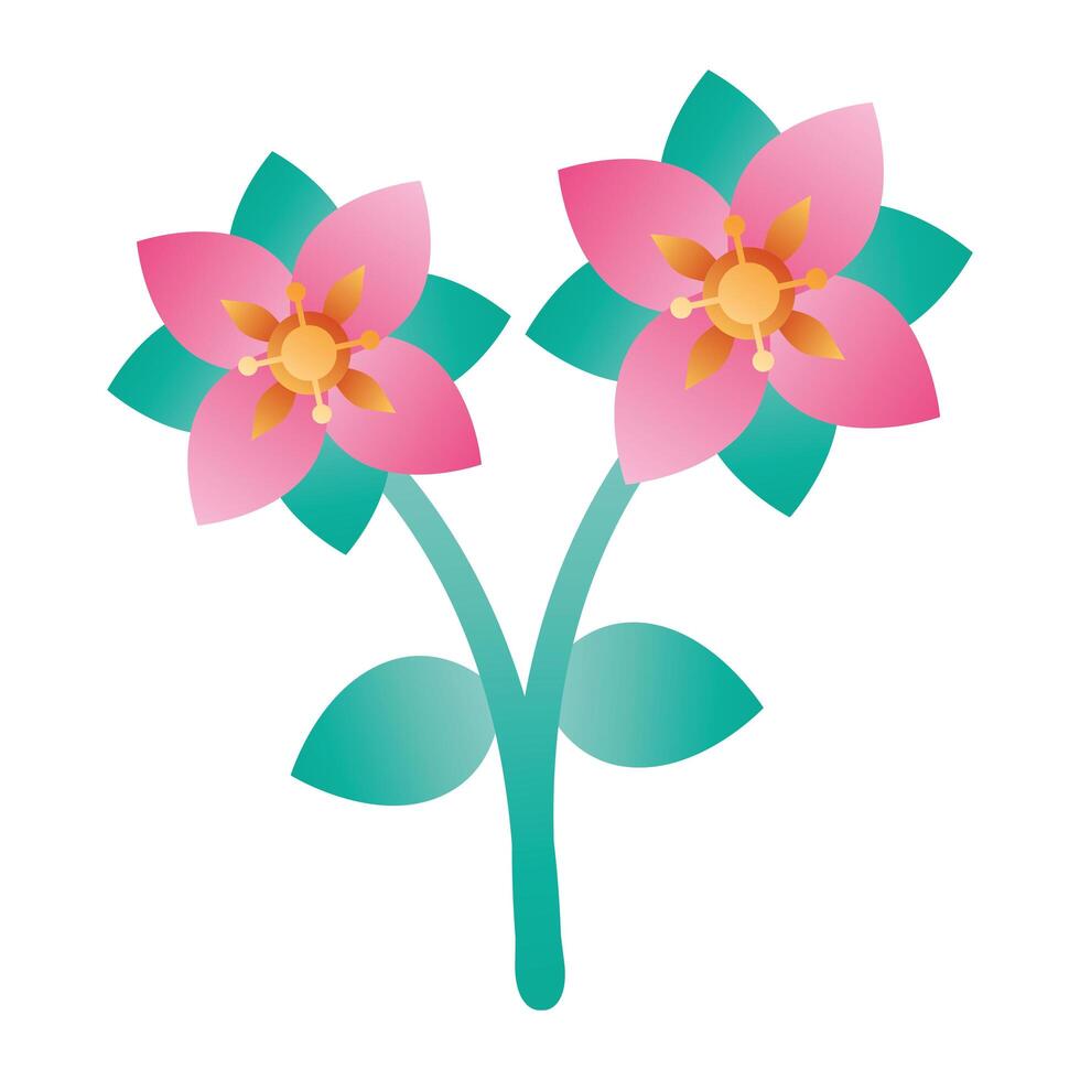 beautiful flowers garden nature with leafs vector