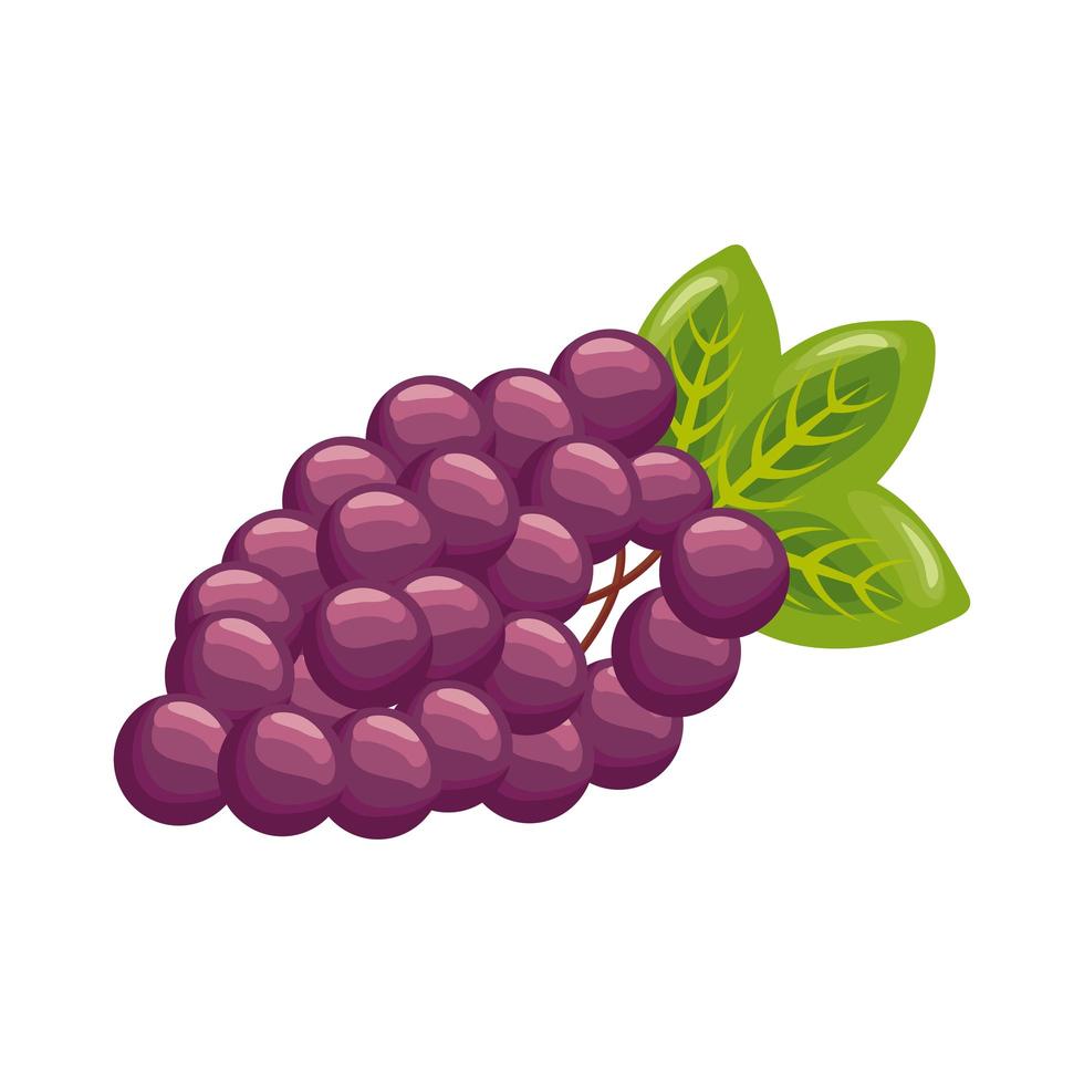 grapes fresh delicious fruit detailed style icon vector