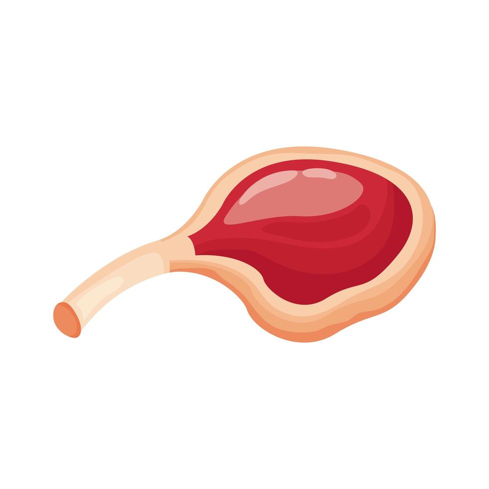 icono de estilo detallado de corte de carne de costilla vector