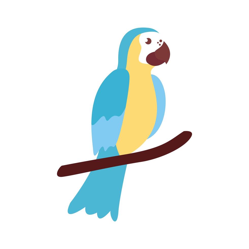guacamaya exotic bird flat style icon vector