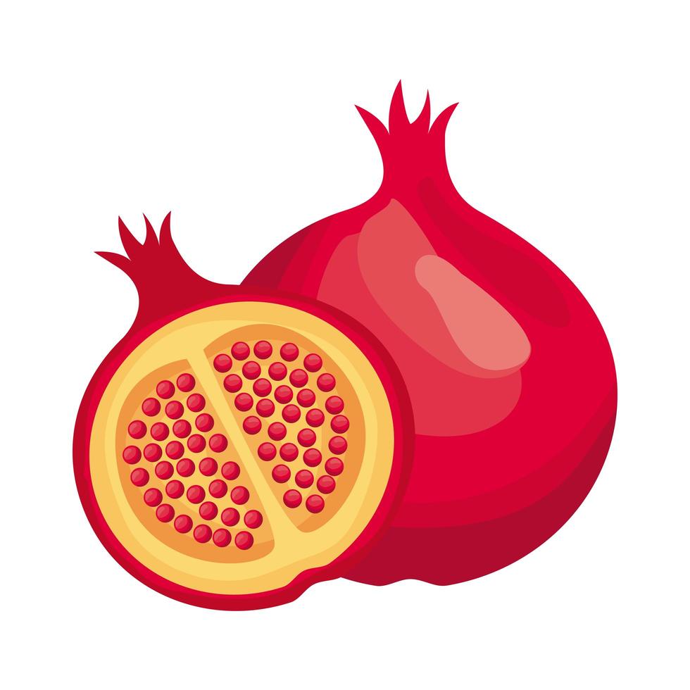 Granada fresca deliciosa fruta icono de estilo detallado vector