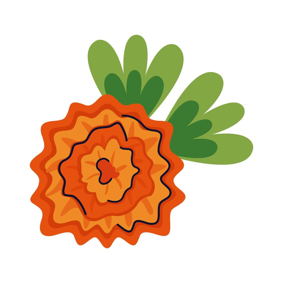 beautiful orange flower and leafs garden flat style icon vector