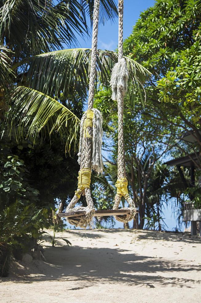 Swing in Ko Pha Ngan in Thailand photo