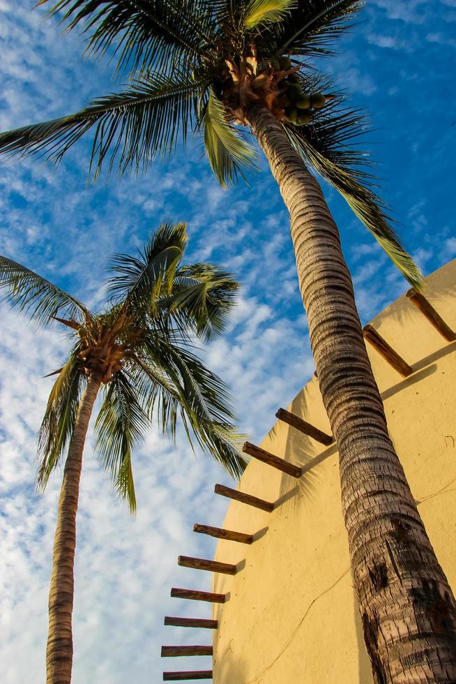 cabo san lucas en mexico foto