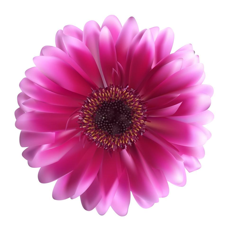 Ilustración de vector de fondo de flor de gerbera