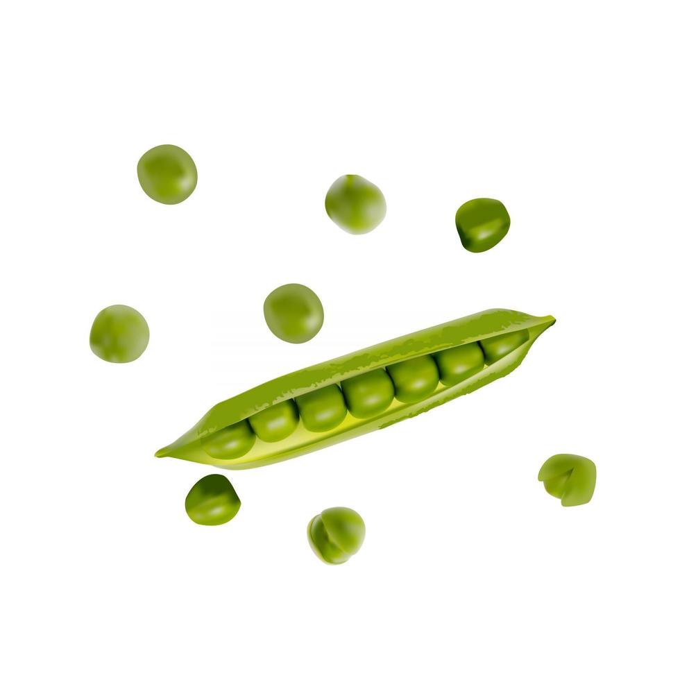 Colorful realistic 3D pod of ripe green peas isolated on white background vector