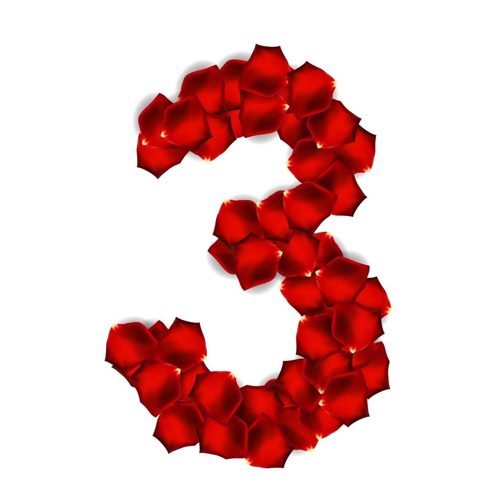 Rose Petals Realistic Number Vector Illustration