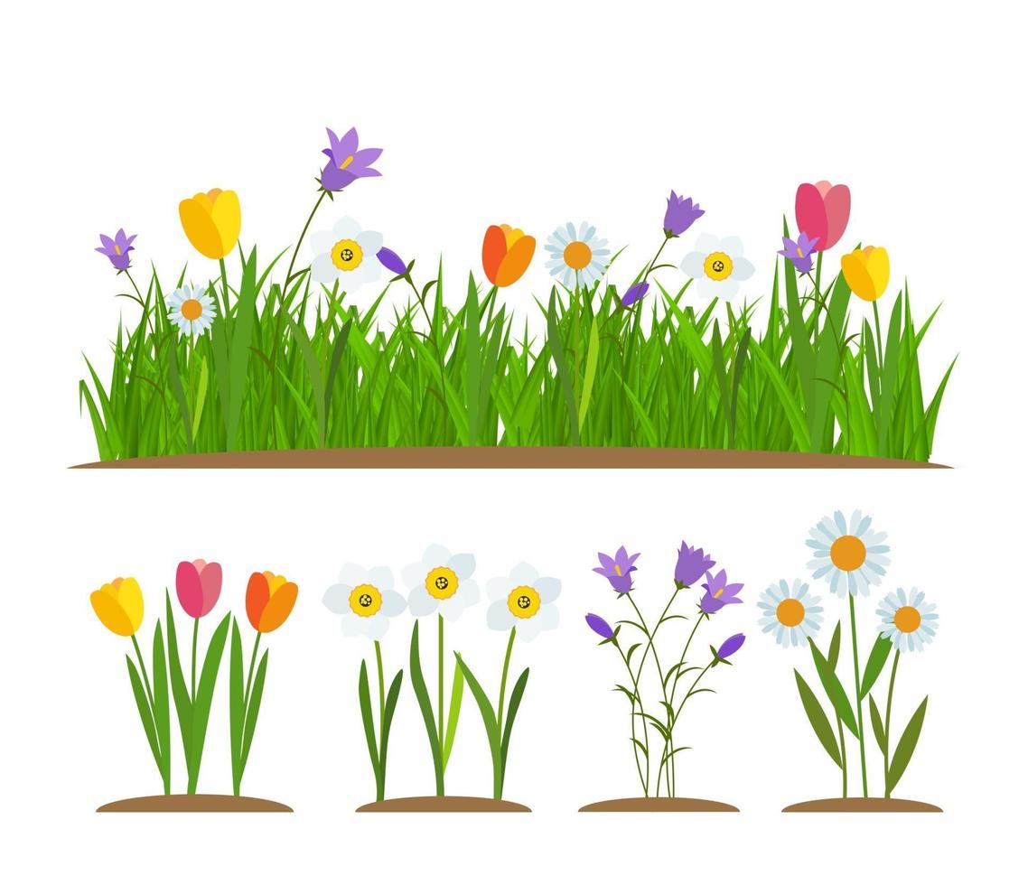 Grass and flowers border greeting card decoration element vector